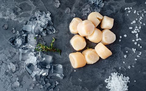 冷凍ホタテは生でそのまま食べれる？保存のコツやおいしく解凍する方法
