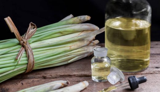 レモングラスの代用はコレ！使い道･利用法は？代わりになる食材３選