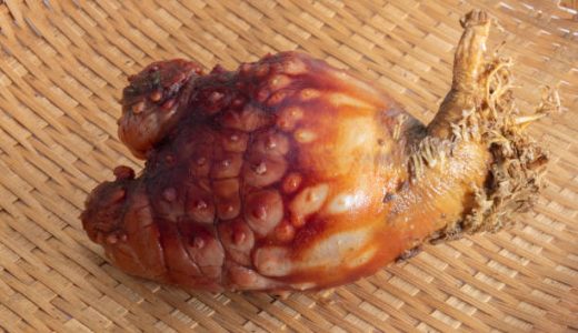 ほやの食べ過ぎは危険？食中毒にあたる？寄生虫の危険性｜鮮度の見分け方は？