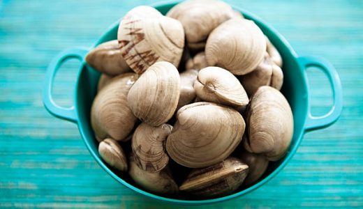 はまぐりが開かない時は食べられない？半開き･加熱時間は？腐った時の見分け方も