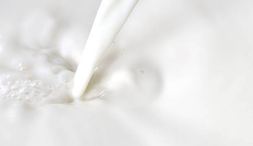 はちみつ牛乳は太る?カロリー･糖質量｜効果･1日の摂取量は?