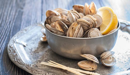 はまぐりの砂抜きに一晩は必要？前日からだと死ぬ？常温･冷蔵庫どっちがいいの？