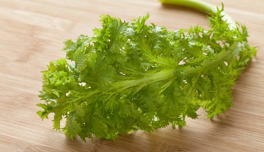 わさび菜は生食できる？どんな味？保存方法･賞味期限･作り置きレシピも
