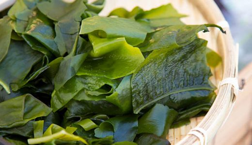 生わかめをそのまま食べると食中毒になる？下ごしらえ･保存方法･日持ちは？