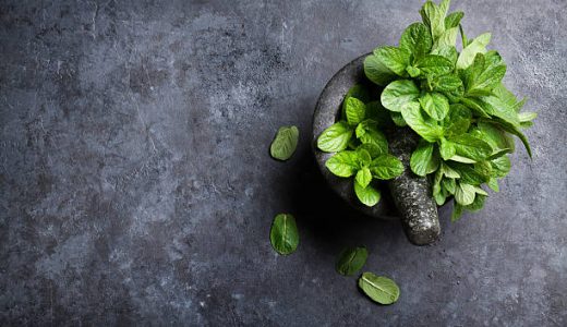 アップルミントとレモンバームの違いとは?どんな効能や特徴がある?