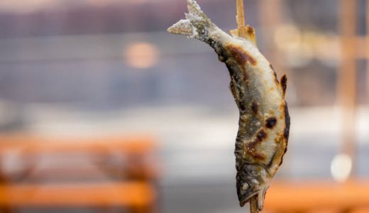 鮎(アユ)に寄生虫が!?横川吸虫の特徴･食中毒症状･肝吸虫との違い｜生焼けに注意！