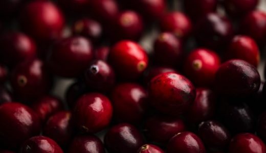 クランベリーもアレルギーの可能性がある?要注意!遅延型食物アレルギーとは?
