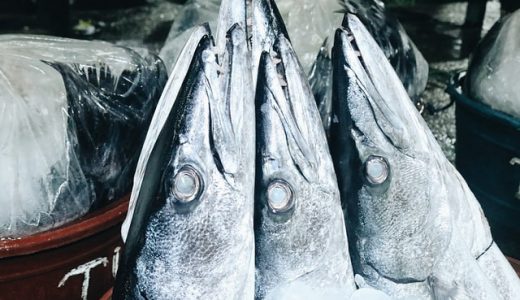 カマスの刺身はアニサキスに注意!どんな魚なの?カマス料理のおすすめって何?
