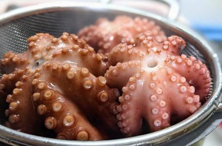 生タコの日持ち･賞味期限｜冷凍･冷蔵保存方法は?腐るとどうなる?