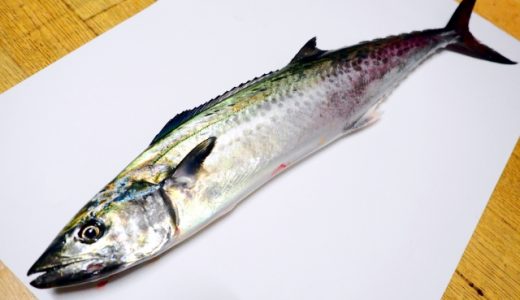サワラが臭い!魚の生臭みを取るポイントを紹介!おすすめのサワラレシピも!