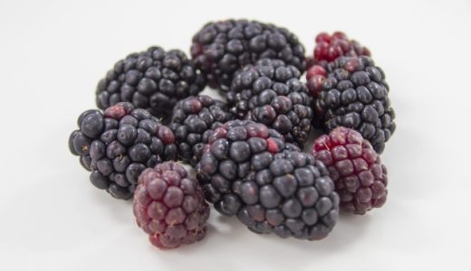 生ブラックベリーをそのまま食べる！どんな味？レシピ・購入できる場所も解説