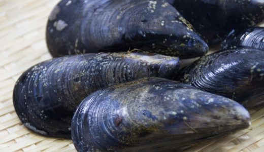 ムール貝はアレルギーの原因になる?嘔吐など症状や貝毒の特徴•対策を解説