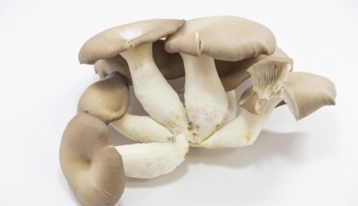 ひらたけに白いフワフワしたのはカビ？虫もいる?天然の処理と霜降りも解説!