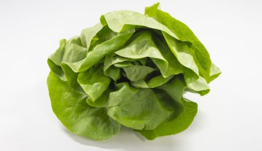サラダ菜は生で食べても大丈夫?旬の時期･食べ方･栄養・効果を紹介します!