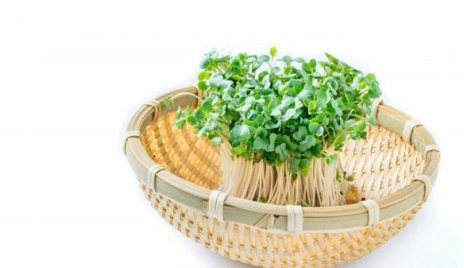 ブロッコリースプラウトを毎日食べるメリットとは？実際の口コミも