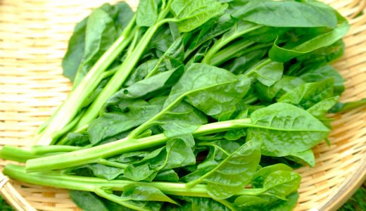 つるむらさきの紫色と緑色の違いは?栄養と効能･茎の食べ方･保存方法