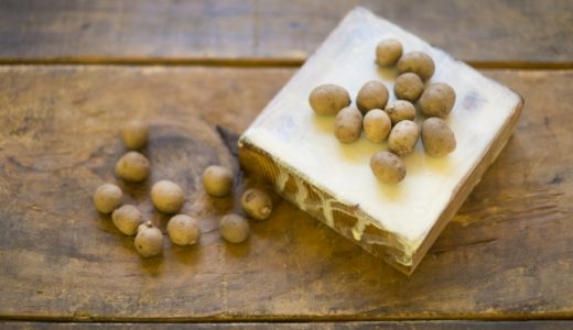 むかごは苦い?どんな味?生食は可能?食べ方や毒性のあるニガカシュウとの見分け方