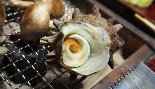 サザエの肝は体に悪いの?妊娠中は食べてはいけない?栄養素や健康効果を紹介!