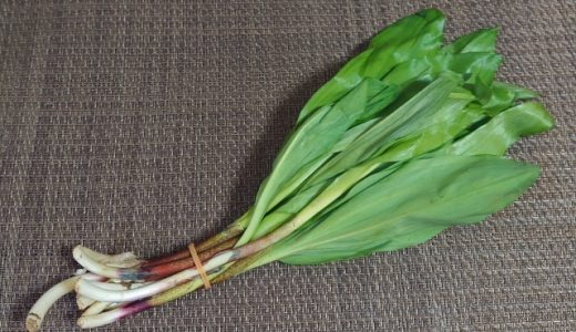 行者にんにくの栄養とは?旬の時期はいつ?どんな効果・効能があるのかを解説!