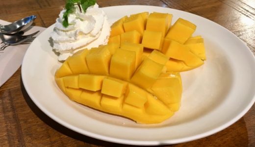 冷凍マンゴーは太るって本当?他のフルーツとの比較やダイエット中の食べ方