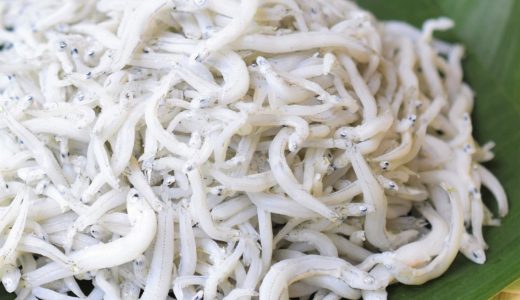 ちりめんじゃこで食中毒になる?症状･原因や対策を解説!釜揚げしらすも要注意!