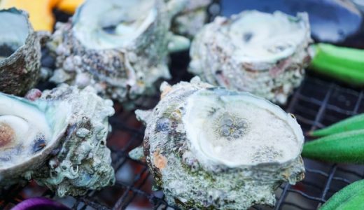 サザエと食中毒の関係とは?貝毒を持っている可能性があるって本当?注意点とは!