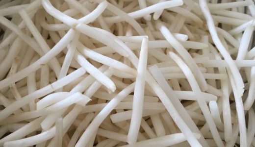 もやしから酸っぱい匂いが!消す方法はある?腐った時の特徴や食あたりの症状解説