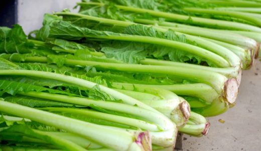 野沢菜と小松菜の違いは?漬け方や保存方法・代用できる野菜も