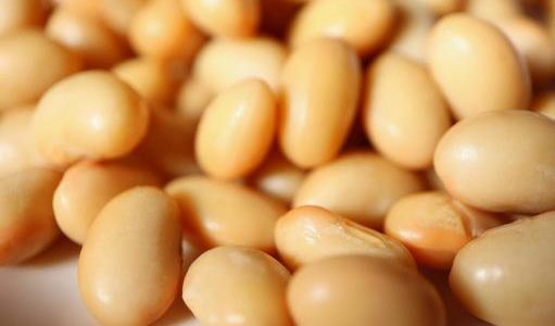 蒸し大豆の日持ち･賞味期限｜そのまま冷凍できる?常温は?保存方法