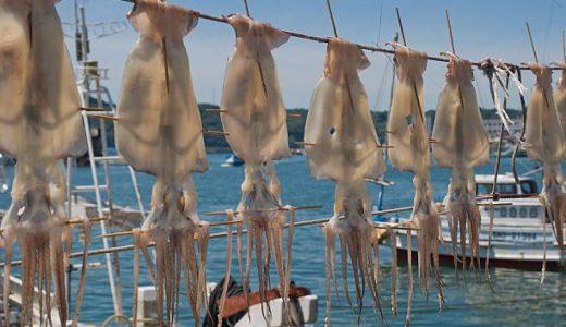 スルメでアレルギーに!主な症状｜食べ過ぎは体に悪い?1日の摂取量