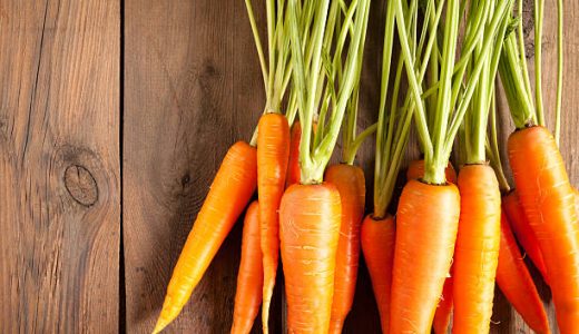 どんぐりに毒性がある 食べられるどんぐりの見分け方は 食べ方も解説 お役立ち 季節の耳より情報局