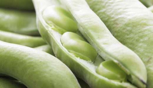 そら豆の日持ち｜常温･野菜室?冷凍は?生のまま鮮度よく保存する方法