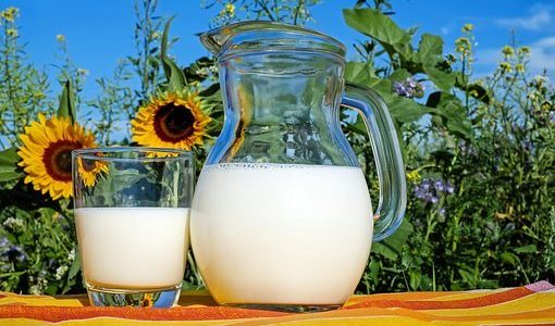 牛乳の飲み過ぎは体に悪いはデマ？健康？どっち？メリット･デメリット