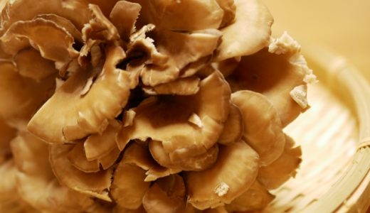 舞茸が臭い!きのこの臭いが苦手な人にオススメの調理法やコツを紹介します!