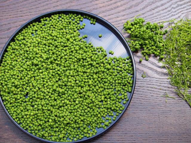 山椒は辛いけど中毒になる 中華 カップラーメンに使われるスパイスを解説 お役立ち 季節の耳より情報局