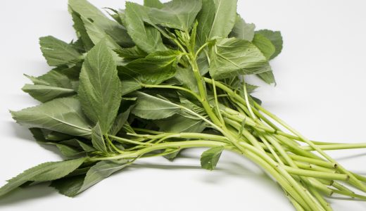 モロヘイヤの茎には毒性が!新芽にも?赤い茎は捨てるべき?スーパーの物が安全な理由