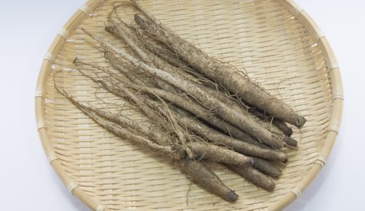 ヤマゴボウに毒性がある→間違い!似ている植物には死亡の危険が！違いを解説