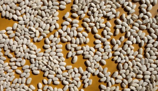 白いんげん豆の効能は?ダイエットに効果があるって本当?ファセオラミンとは?
