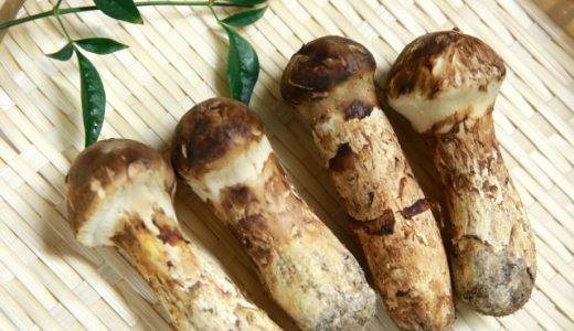 松茸を冷凍保存して一年は持つ?保存法は?ホイル焼きや天ぷら等のレシピ解説
