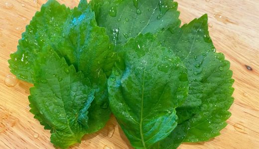 大葉(しそ)に中毒性は?栄養成分や効果を解説!正しく保存してダイエットにも!
