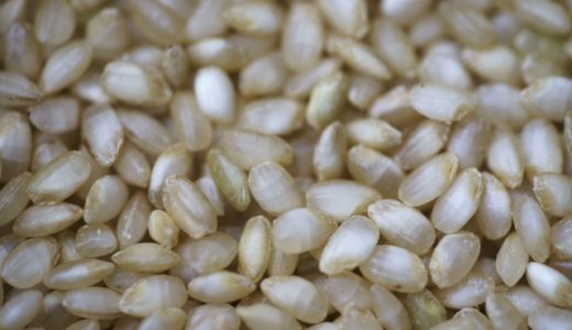 発芽玄米に毒が?食べる危険?アブシジン酸やフィチン酸の危険性や安全性について