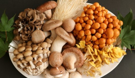 白いキノコ、食用はある?種類は?毒性は?細い?しめじは?丸い名前は?