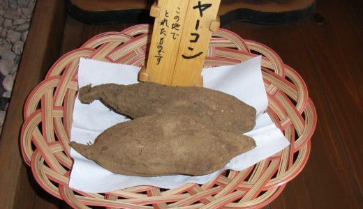 ヤーコンの味はどんなの?糖尿病に効く?栄養や効果効能•保存方法まで紹介！