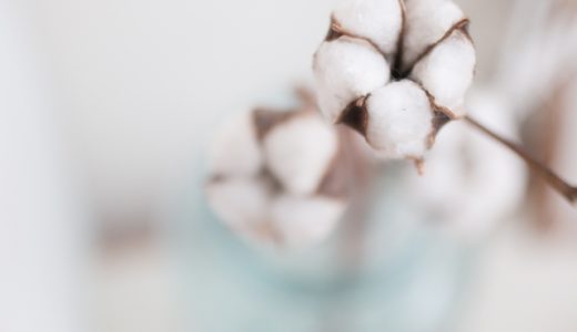 綿実油は体にいい油なの?リノール酸・トランス脂肪酸が危険?栄養素と効果を紹介