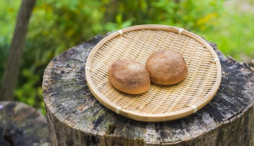椎茸で食中毒や食あたりに!症状は?潜伏期間はどれぐらい?生焼けの見分け方は?
