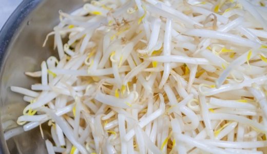 もやしの日持ちは?賞味期限は?腐るとどうなる?気になる疑問を徹底解説