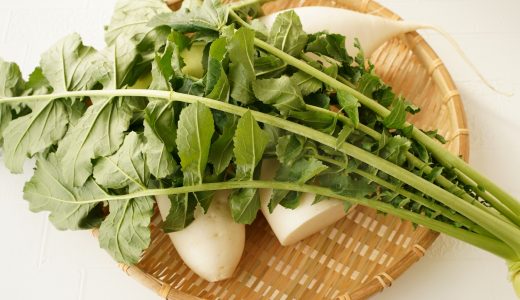 大根の葉っぱの保存方法は?保存食として使えるレシピは?下処理・茹で方も解説