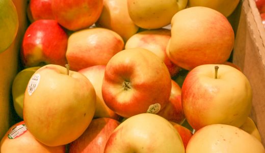 りんごの種を食べてしまったらどうなる?その毒の致死量を解説!犬にとっても危険