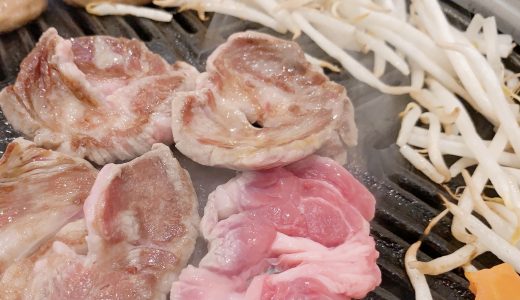 ラム肉の生焼けは大丈夫?食中毒の症状と予防•トキソプラズマの危険性を解説！