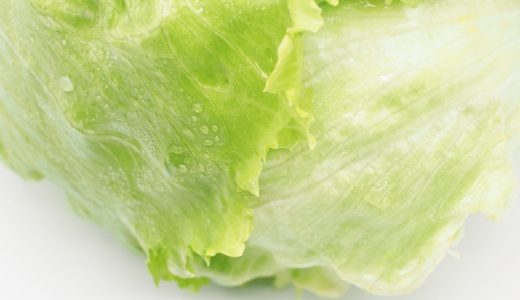 レタスは生だと実は危険な野菜？安全な食べ方や保存方法も紹介！
